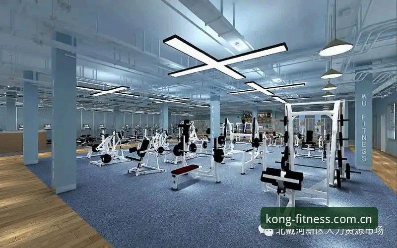 悟空体育平台可靠性解析与使用技巧详解