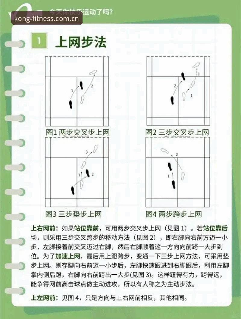 悟空体育APP官方下载与实战操作使用教程全攻略